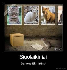 Šiuolaikiniai - Demokratiški rinkimai