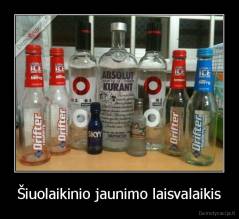 Šiuolaikinio jaunimo laisvalaikis - 