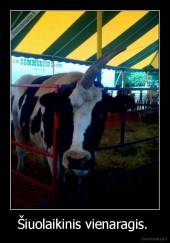 Šiuolaikinis vienaragis.  - 