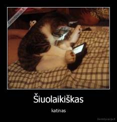 Šiuolaikiškas - katinas