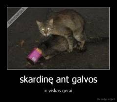 skardinę ant galvos - ir viskas gerai