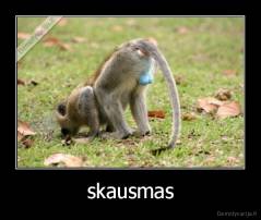 skausmas - 