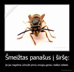 Šmeižtas panašus į širšę: - jei jos negalima užmušti pirmu smūgiu,geriau visiškai neliesti.