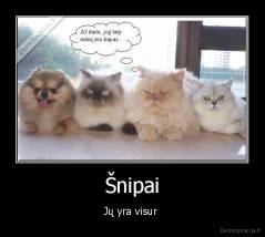 Šnipai - Jų yra visur 