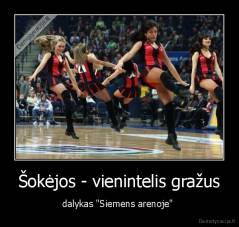 Šokėjos - vienintelis gražus - dalykas "Siemens arenoje" 