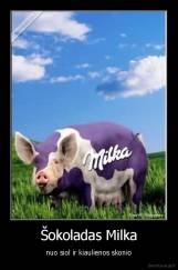 Šokoladas Milka - nuo siol ir kiaulienos skonio