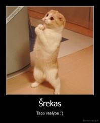 Šrekas - Tapo realybe :)