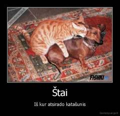 Štai - Iš kur atsirado katašunis