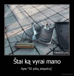 Štai ką vyrai mano - Apie "50 pilkų atspalvių"