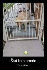 Štai kaip atrodo - Tikras liūdesys