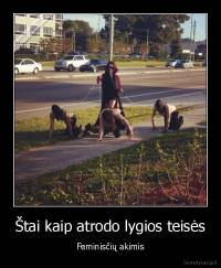 Štai kaip atrodo lygios teisės - Feminisčių akimis