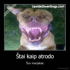 Štai kaip atrodo - Šuo manjakas