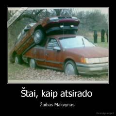 Štai, kaip atsirado  - Žaibas Makvynas 