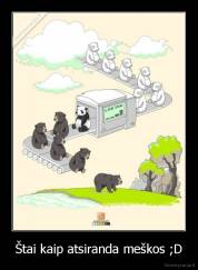 Štai kaip atsiranda meškos ;D - 