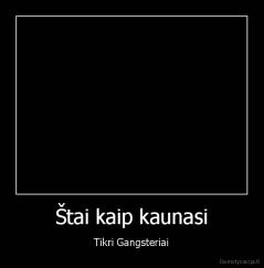 Štai kaip kaunasi - Tikri Gangsteriai