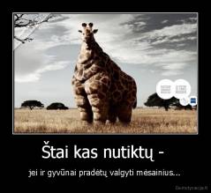 Štai kas nutiktų -  - jei ir gyvūnai pradėtų valgyti mėsainius...