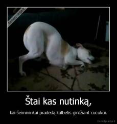 Štai kas nutinką, - kai šeimininkai pradedą kalbėtis girdžiant cucukui.