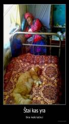 Štai kas yra - tikra meilė katinui