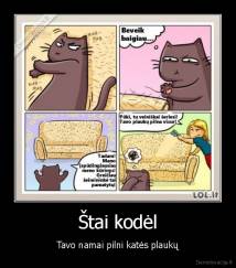 Štai kodėl - Tavo namai pilni katės plaukų