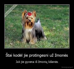 Štai kodėl jie protingesni už žmonės - Juk jie gyvena iš žmonių kišenės