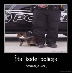 Štai kodėl policija - Nenaudoja kačių
