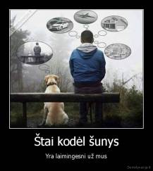 Štai kodėl šunys - Yra laimingesni už mus