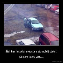 Štai kur lietuviai mėgsta automobilį statyti - Kai nėra laisvų vietų...