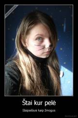 Štai kur pelė - Išsipaišiusi kaip žmogus