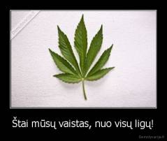 Štai mūsų vaistas, nuo visų ligų! - 