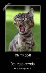 Štai taip atrodai - kai iš fizikos gauni 10.