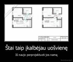 Štai taip įkalbėjau uošvienę - Iš naujo perprojektuoti jos namą