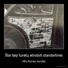Štai taip turėtų atrodyti standartinės - Alfa Romeo durelės