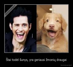 Štai todėl šunys, yra geriausi žmonių draugai - 