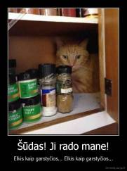 Šūdas! Ji rado mane! - Elkis kaip garstyčios... Elkis kaip garstyčios...