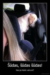 Šūdas, šūdas šūdas! - Kas jai leido vairuot?