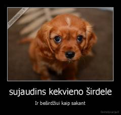 sujaudins kekvieno širdele - Ir beširdžiui kaip sakant