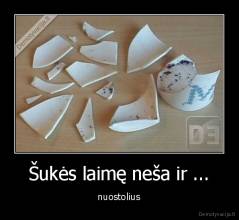 Šukės laimę neša ir ... -  nuostolius 