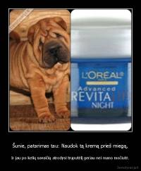 Šunie, patarimas tau: Naudok tą kremą prieš miegą, - Ir jau po kelių savaičių atrodysi truputėlį geriau nei mano močiutė.