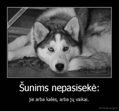 Šunims nepasisekė: - jie arba kalės, arba jų vaikai.