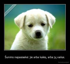 Šunims nepasisekė: jie arba kalės, arba jų vaikai. - 