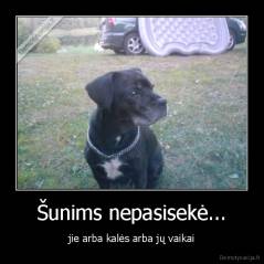 Šunims nepasisekė... - jie arba kalės arba jų vaikai