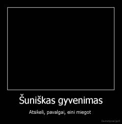 Šuniškas gyvenimas - Atsikeli, pavalgai, eini miegot 