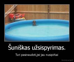 Šuniškas užsispyrimas. - Turi pasinaudoti,jei jau nusipirkai