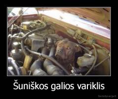 Šuniškos galios variklis - 