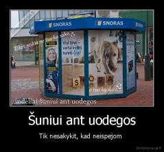 Šuniui ant uodegos - Tik nesakykit, kad neispejom 