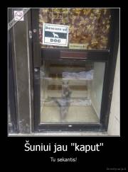 Šuniui jau "kaput" - Tu sekantis!