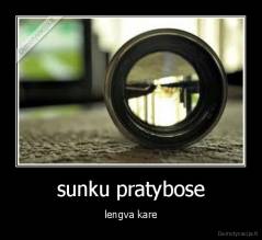 sunku pratybose - lengva kare