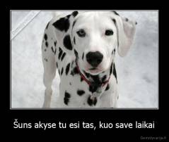 Šuns akyse tu esi tas, kuo save laikai - 