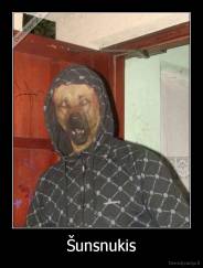 Šunsnukis - 