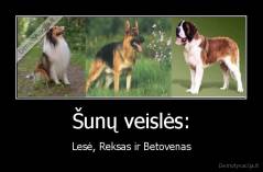 Šunų veislės: - Lesė, Reksas ir Betovenas